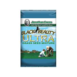 Jonathan Green Black Beauty 10320 Grass Seed, 1 lb Bag