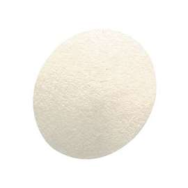 Hydrophobic Filter for FiveStar Alarm & Passport Personal Alarm Gas Monitor, WH