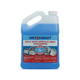 REMOVER MOLD/MLDW STAIN 1 GAL