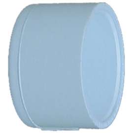 2-1/2" Slip Cap