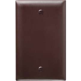 BRN 1G BLNK Wall Plate