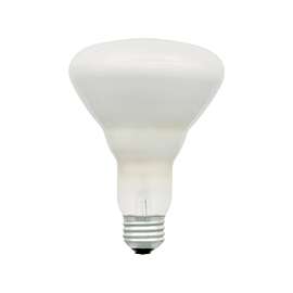 SYLVANIA 10078 Directional Halogen Lamp, 50 W, BR30, Medium E26