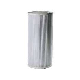 Pentair OMNIFilter Series RS6-SS2-S06 Filter Cartridge, 30 um Filter, Polyester Filter Media, Pleated Paper