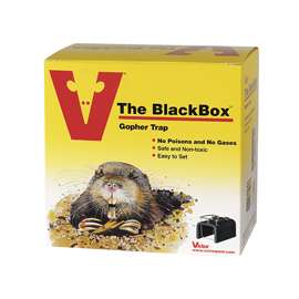 Victor BlackBox 0625 Gopher Trap, Steel