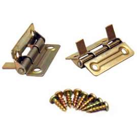 2" BIFLD DR Hinge
