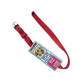 Petmate 15356 Dog Collar, 12 in L Collar, Nylon, Red