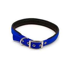 Petmate 21368 Dog Collar, 24 in L Collar, Nylon, Blue