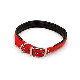 Petmate 21366 Dog Collar, 24 in L Collar, Nylon, Red
