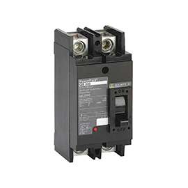 Square D QBL22200 Type QBL Circuit Breaker, 240 V, Thermal Magnetic Trip, Plug-In Mounting