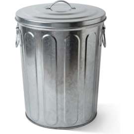 Plexon 5 Gallon Small Metal Trash Can with Lid Outdoor Galvanized Bucket with Lid 5 Gal Fireplace Ash Bucket for Wood Stove Storage Can for Dog Food Bird Seed Storage Container Rodent Pet Proof