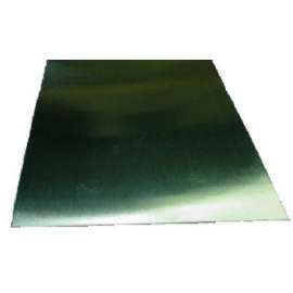 .010x3/4x12 SS Strip