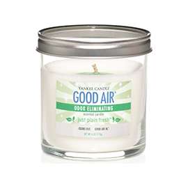 Yankee Candle Good Air 1198008 Small Tumbler Candle, 6 oz Tumbler