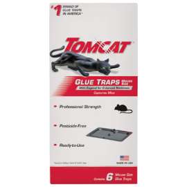6PK Mouse Glue Trap