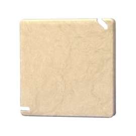 Allied Moulded 9344 Electrical Junction Box Cover, 4 in L, 4 in W, Square, PVC