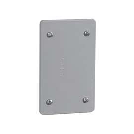 Carlon E980CN-CAR Cover, 4-5/8 in L, 2-7/8 in W, Rectangular, PVC