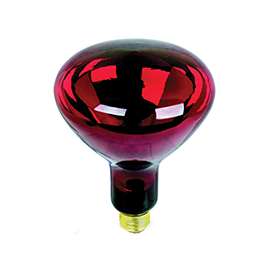 Feit Electric 250R40/R Incandescent Lamp, 120 V, 250 W, Medium E26, R40
