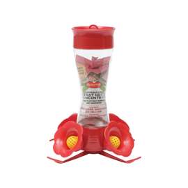 Perky-Pet 203CPBN Hummingbird Feeder, 4 Ports/Ways, Glass/Plastic, Bright Red