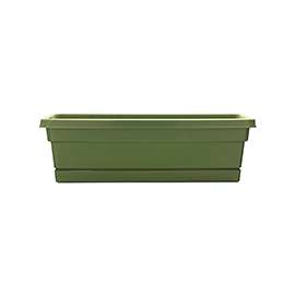 Southern Patio WB2412FE Window Box Planter, 7.22 in H, Plastic, Fern