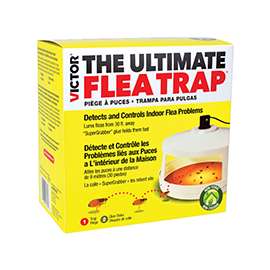 Victor M230A Flea Trap