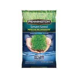 Pennington 100526630 Grass Seed, 3 lb Bag
