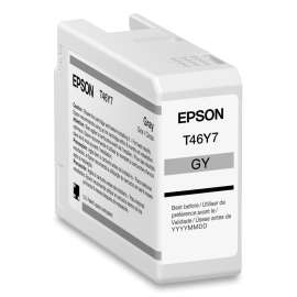 T46Y700 (T46Y) UltraChrome PRO10 Ink, 50 mL, Gray