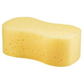 AP Giant Bone Sponge