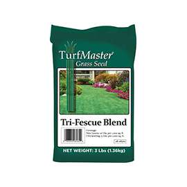 Lebanon 28-08560 Tri-Fescue Blend Grass Seed, 3 lb Bag