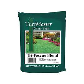 Lebanon 28-08561 Tri-Fescue Blend Grass Seed, 10 lb Bag