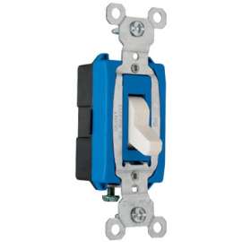 15A 277V ALM SP Switch