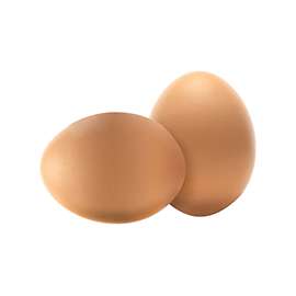 SummerHawk Ranch 33716 Training Nest Eggs, Ceramic, Natural Brown