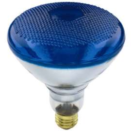 WP 100WBR38BLU FLD Bulb
