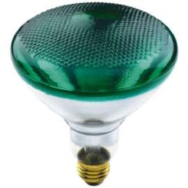 WP 100WBR38GRN FLD Bulb