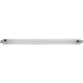 WP F6T5CW6W BiFluo Bulb