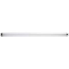 WP 15W T8 Bi Fluo Bulb