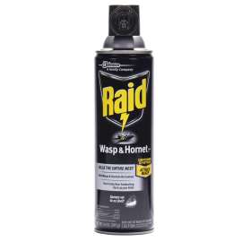 RAID 01353 Wasp and Hornet Killer, 14 oz Aerosol Can