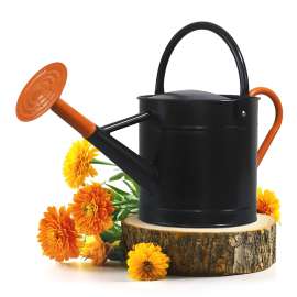 Plexon 1 Gallon Metal Watering Can Outdoor, Flower Plant Gardening Garden Large Watering Can Pot Pitcher, Steel Orange Handles and Removable Spray Spout, Black
