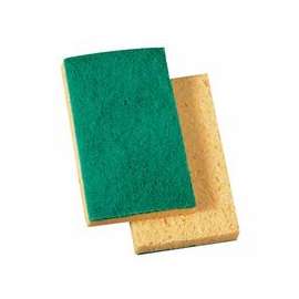 SPONGE/SCRUBBER-CEL