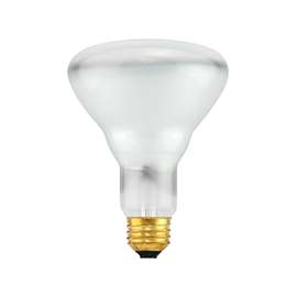 SYLVANIA 15177 Directional, Double Life Incandescent Lamp, 65 W, BR30 Lamp, Medium