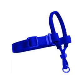 Petmate 0380006 Pet Halter, L, Blue
