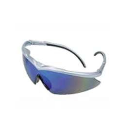 MSA 10083094 Safety Glasses, Anti-Fog Lens, Silver Frame