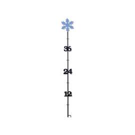 TAYLOR 98503 Snow Gauge, 3-1/2 in H, Steel