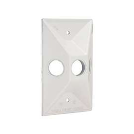 HUBBELL 5189-1 Cluster Cover, 4-19/32 in L, 2-27/32 in W, Rectangular, Zinc