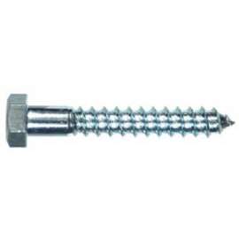 100PK5/16x3Hex Lag Bolt