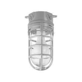 Carlon MCL150C Outdoor Light, Incandescent Lamp, 150 W, 120 VAC