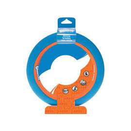 Chuckit! 252301 Dog Toy, L, Rubber, Blue/Orange