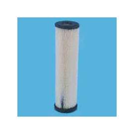 Pentair OMNIFilter RS1-DS12-05 Filter Cartridge, 20 micron Filter