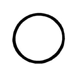 CHAPIN 1-2531-1 Replacement O-Ring, FKM, For Compression Sprayer