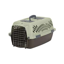 Aspenpet Pet Taxi 21088 Fashion Pet Porter, M, Plastic, Black/Dark Pink