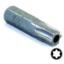 T40 Security Insert Bit