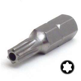 T25 Security Insert Bit